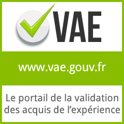 vae-ifc